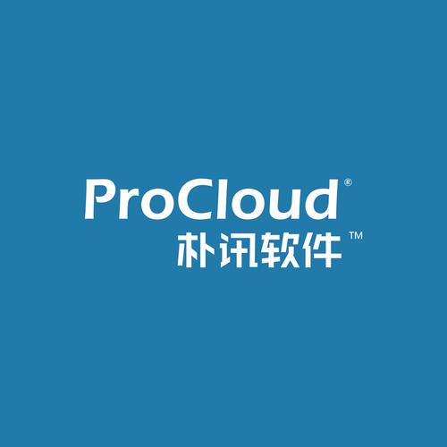 樸訊軟件(上海) 深耕信息系統集成服務，賦能企業數字化轉型