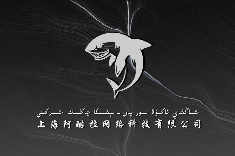 阿力木·吾馬爾 以技術服務為核心，推動企業數字化升級專業之路